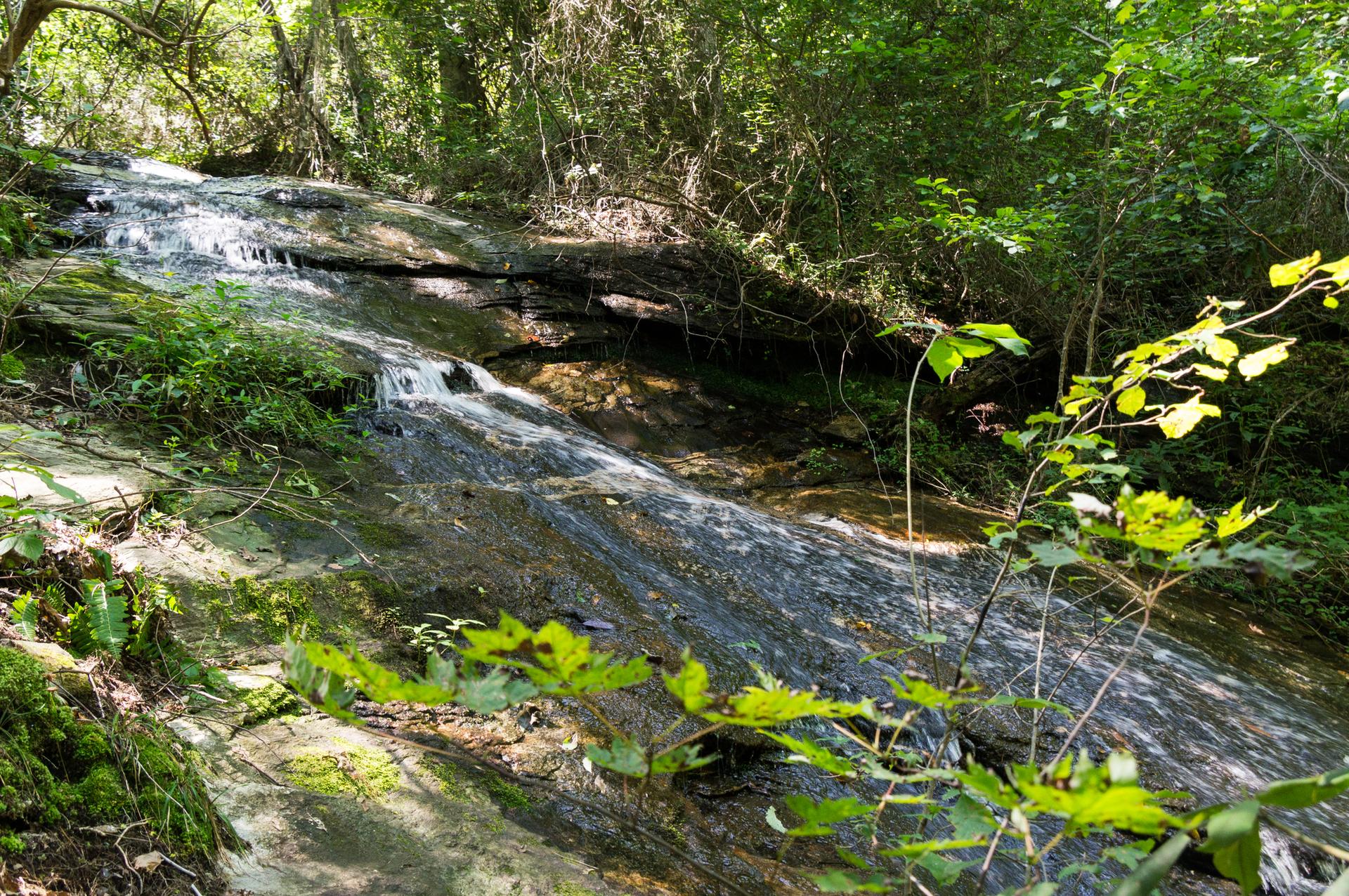 Small waterfall cascades over mossy rocks in a sun-dappled green forest.