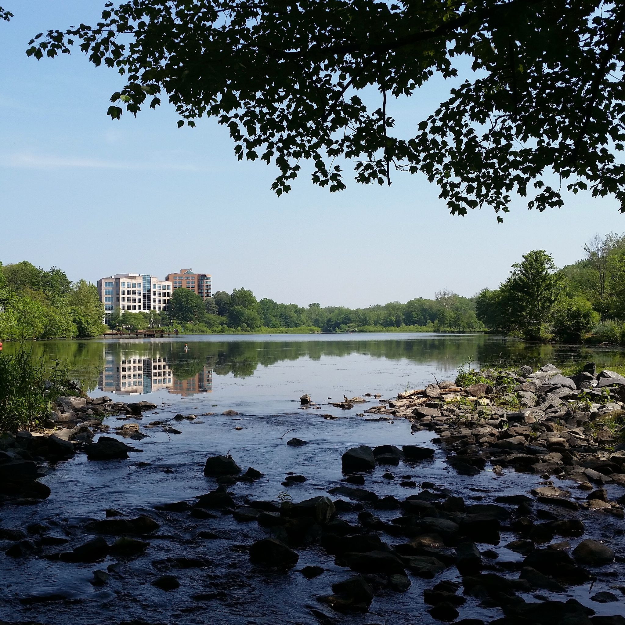 Rocky stream flowing into a calm lake with distant buildings on a bright, sunny day. - Wilde Lake and Lake Kittamaqundi Loop