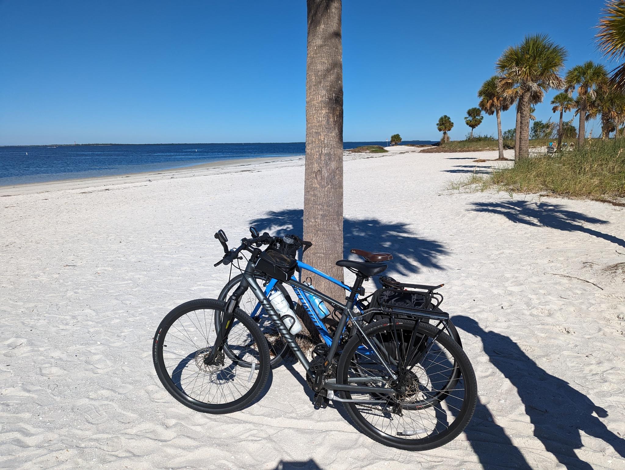 Two bicycles leaning against a palm tree on a sunny white sand beach.