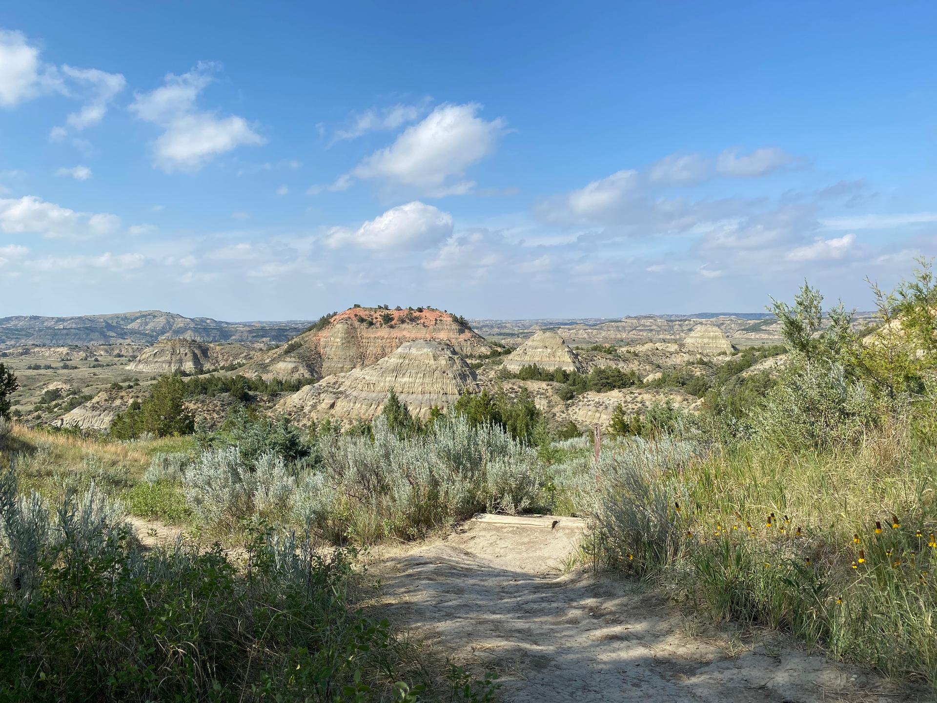 Dirt path through sparse brush leading to arid, rolling hills under blue sky.