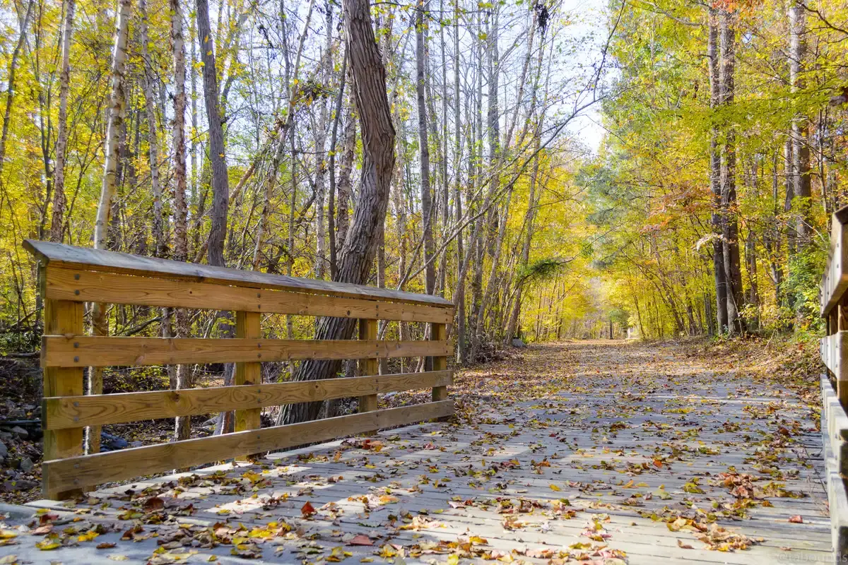 A wooden bridge leads into a sunlit autumn forest path with fallen leaves.