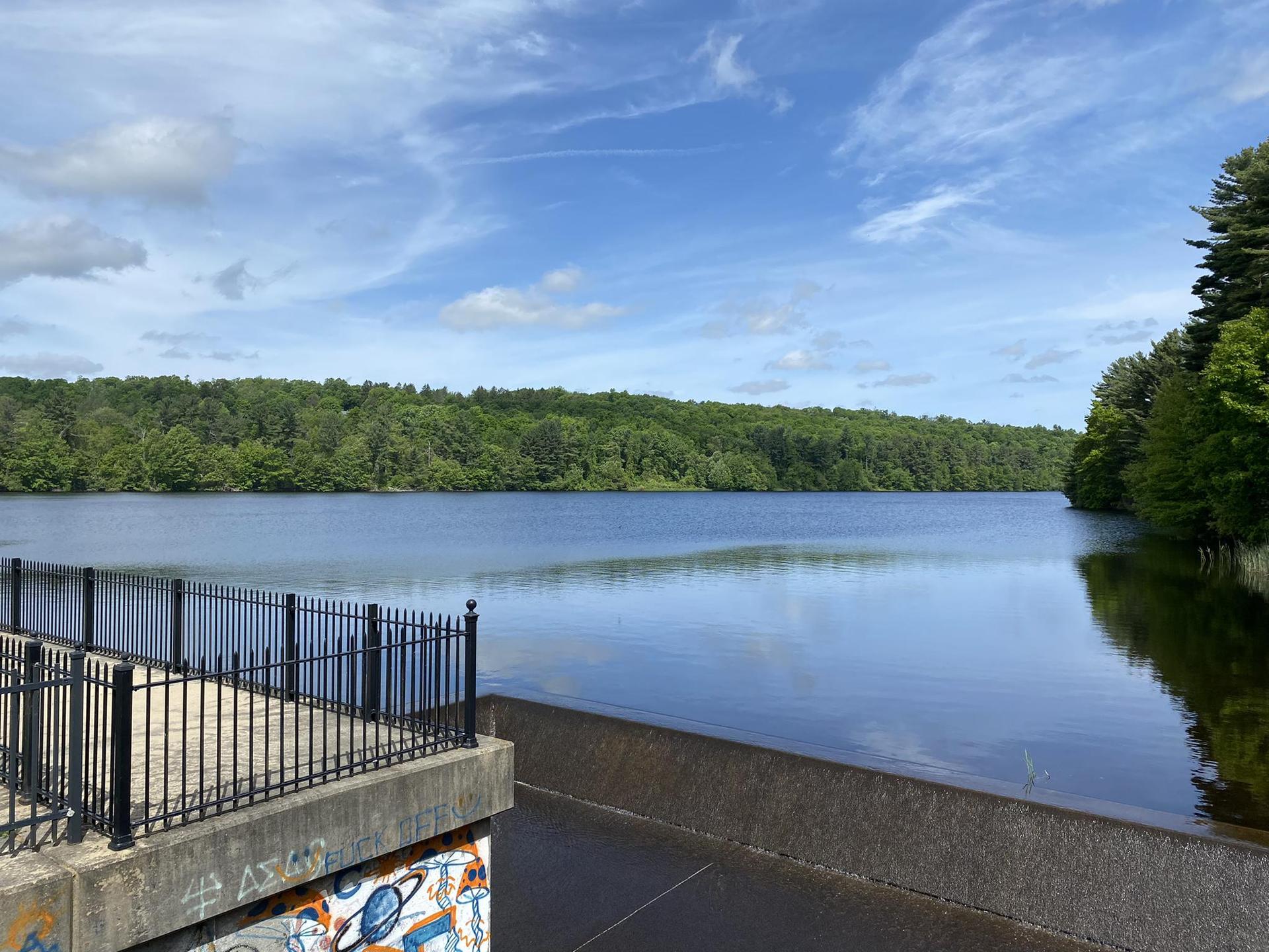 A wide lake surrounded by dense green forest under a bright blue sky.