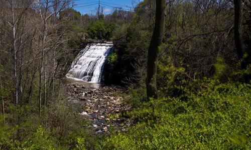 Waterfall cascades into a rocky stream through a dense, sunlit forest.