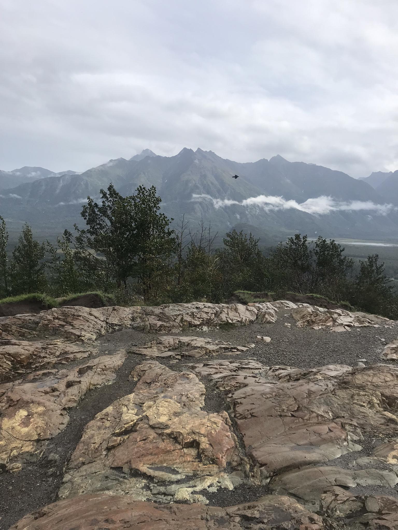Rocky foreground overlooks evergreen trees and a cloudy mountain range under an overcast sky.