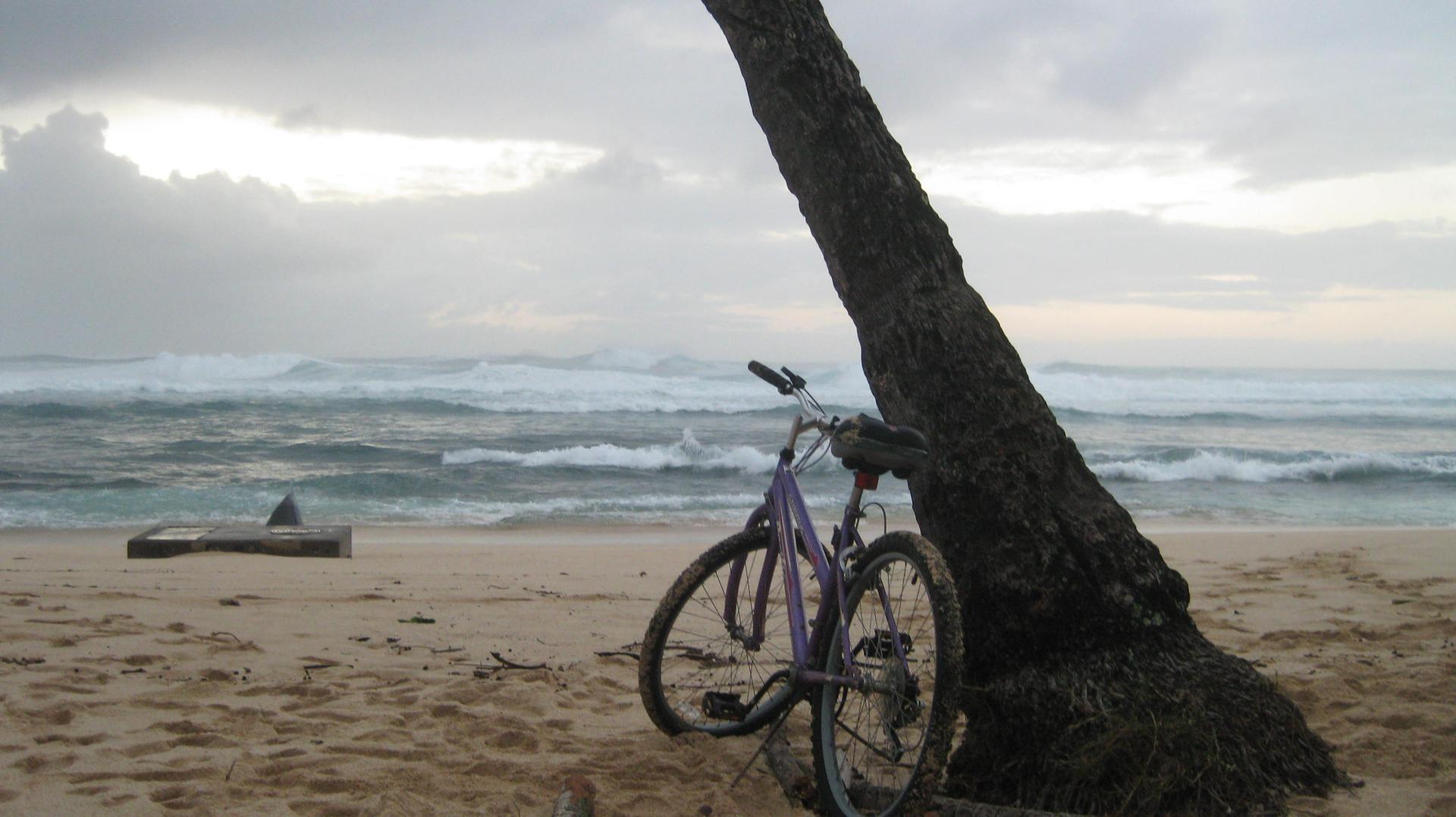 Purple bicycle leaning against a tree on a cloudy beach with waves.