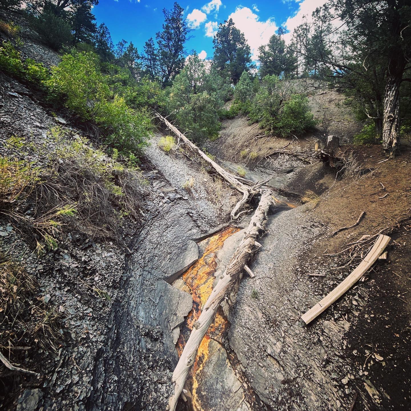 Steep rocky gully with fallen logs and orange mineral stains in a forest.