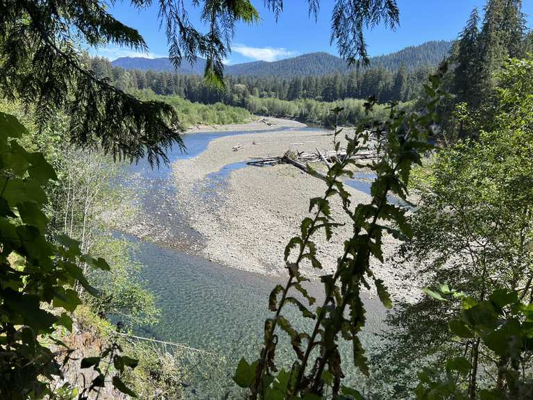 Bogachiel River Trail — Olympic National Park Vous collectionnez le ...