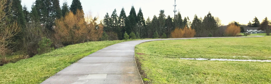 A paved path curves through a green field with trees under soft light.
