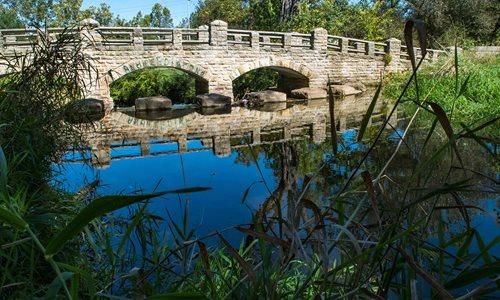 Sunny view of a stone arch bridge reflecting in calm water, surrounded by green.