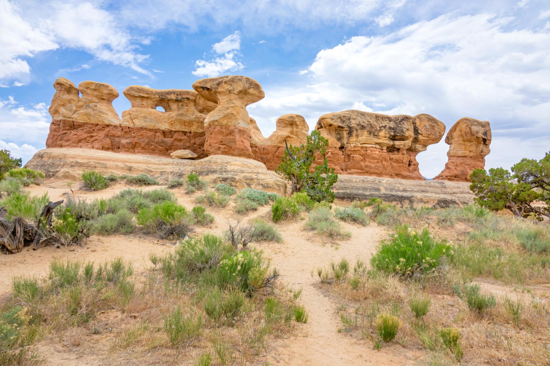 Distinctive sandstone formations with natural arches, surrounded by desert vegetation.