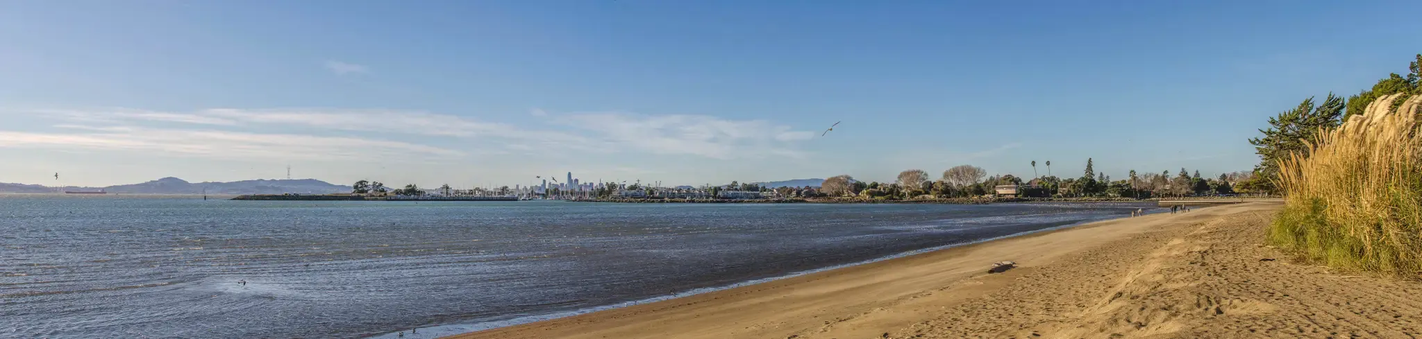 Panoramic view of a sandy beach next to water with a distant city. - Bay Farm Island Trail – Bayfarm Island Ferry terminal loop from Alameda