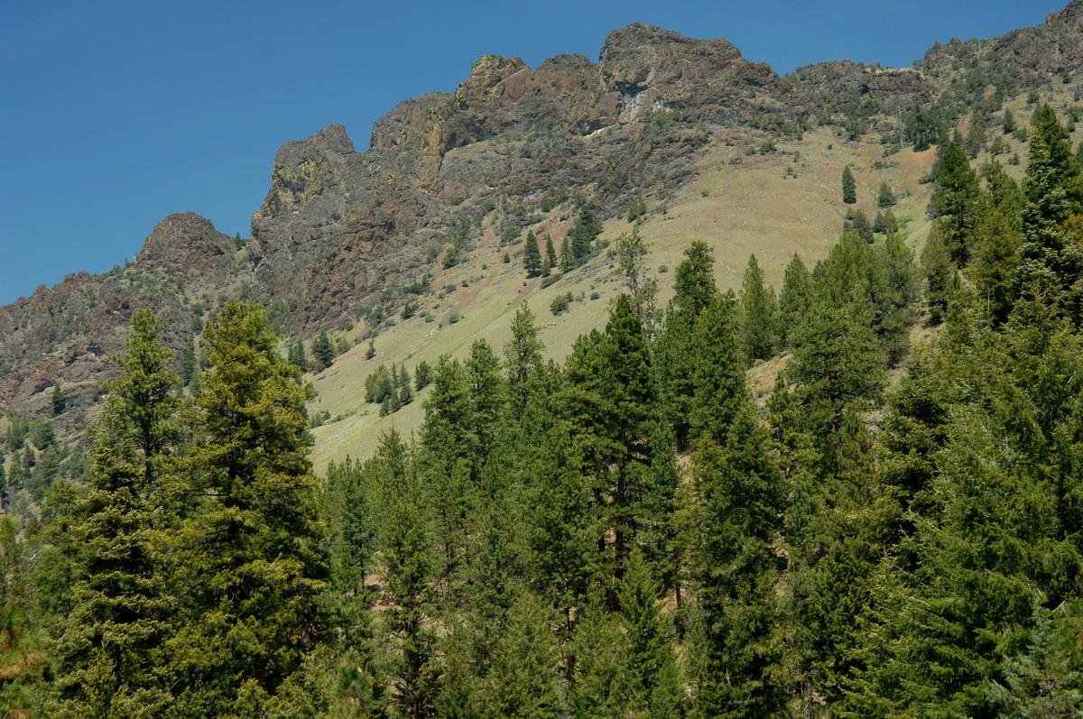 Rocky mountainside with green pine trees under a clear blue sky.