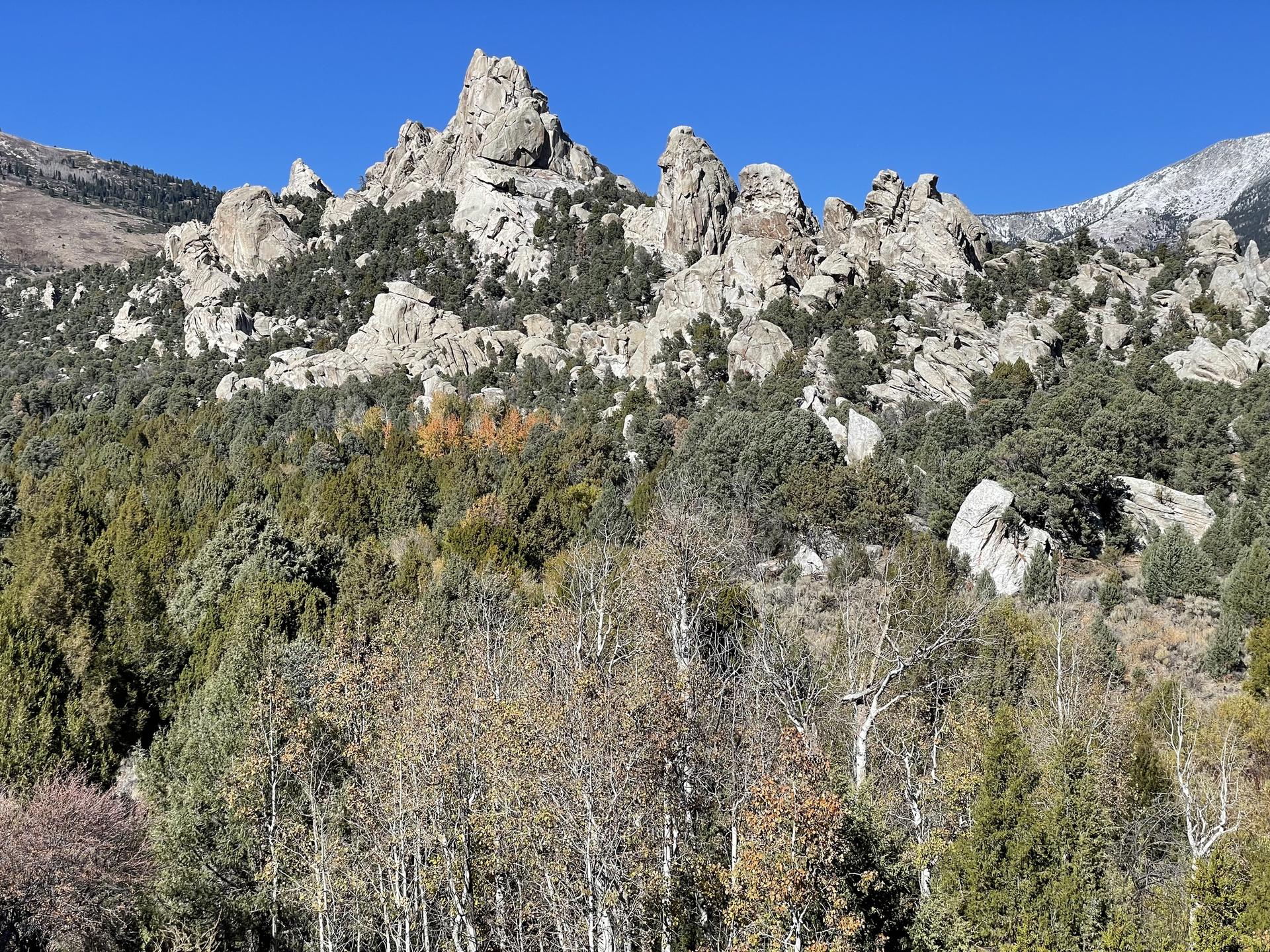 Rugged mountain landscape with rocky peaks, dense forest, and clear blue sky.