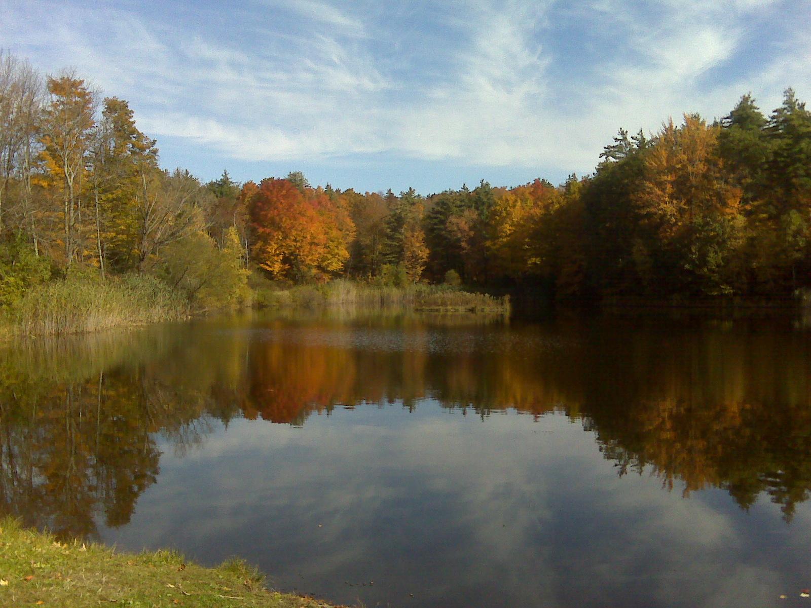 Calm lake reflecting colorful autumn trees under a bright, partly cloudy sky.