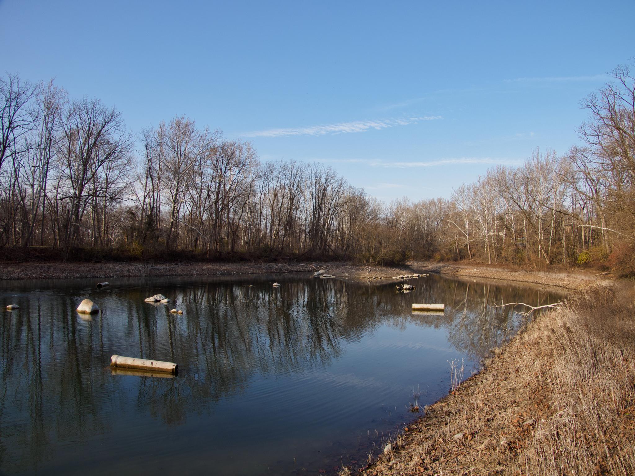 A calm body of water reflecting bare trees under a clear blue sky.