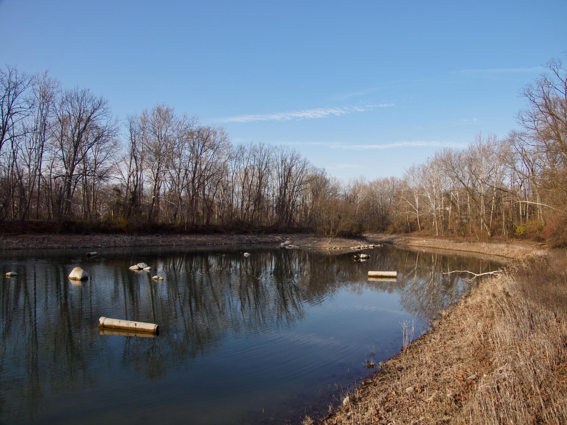 A calm body of water reflecting bare trees under a clear blue sky.
