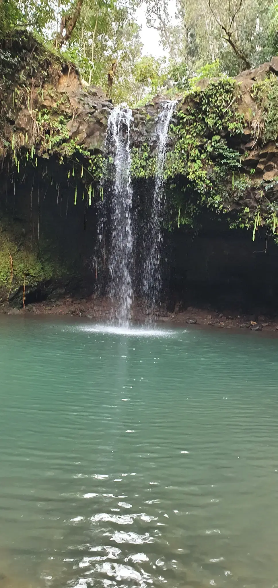 A waterfall flows into a vibrant turquoise pool from a green cliff.
