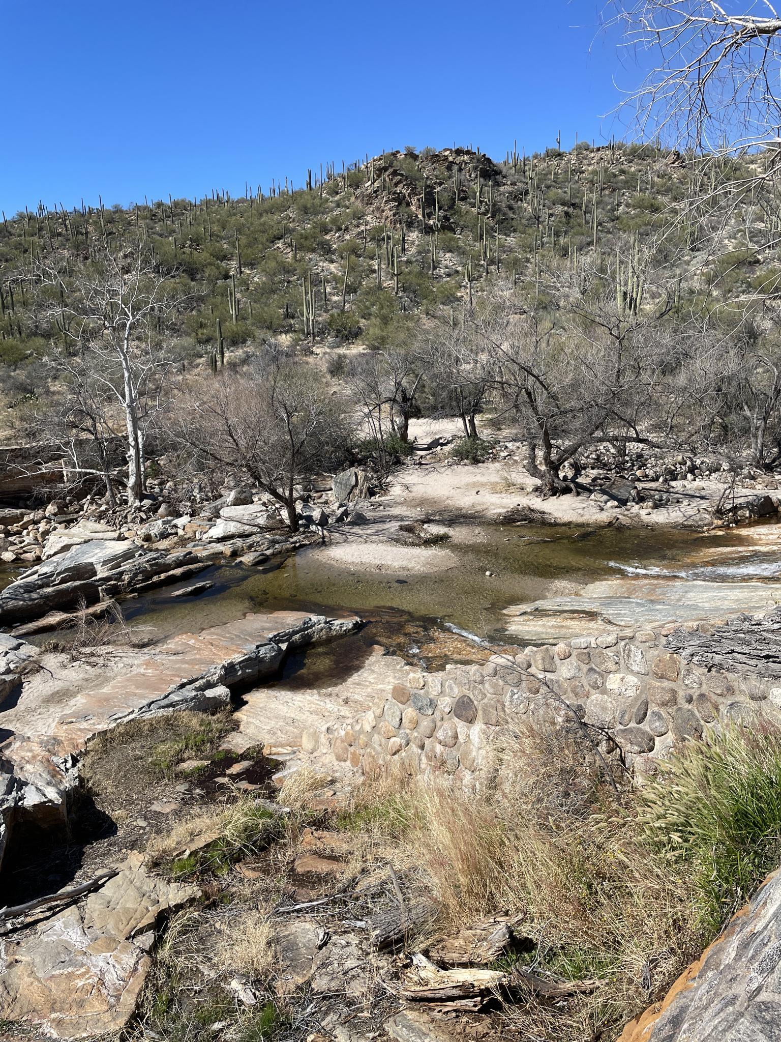 Rocky desert stream with pools of water, surrounded by hills and cacti.