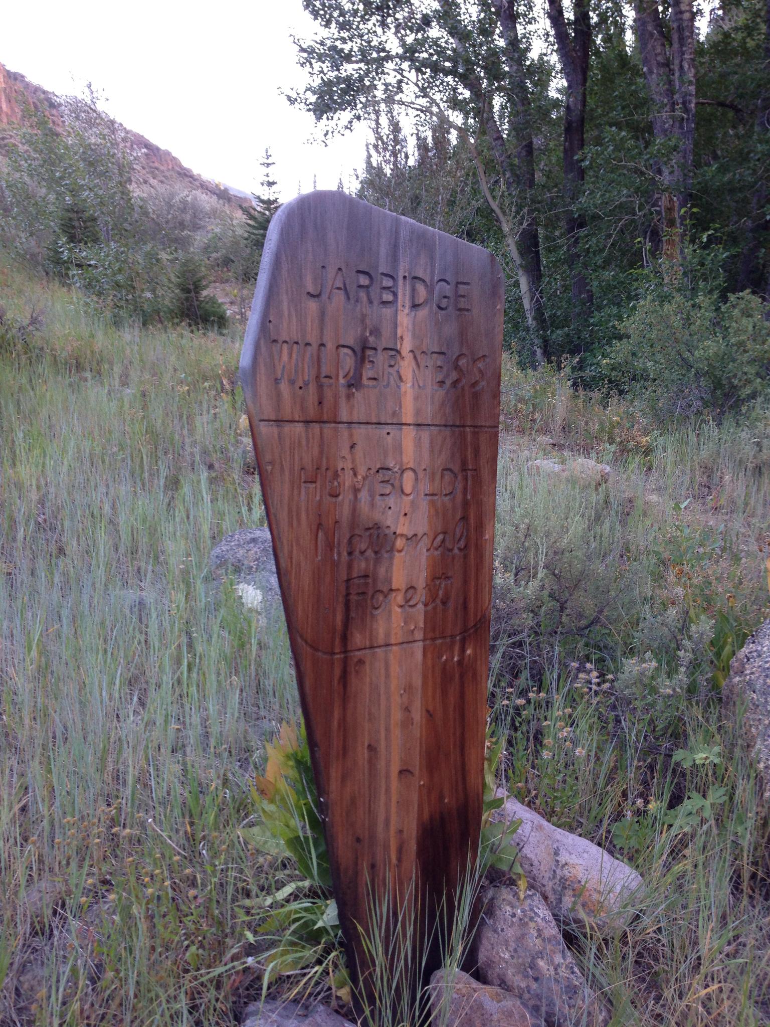 A rustic wooden sign stands in tall grass near trees at dusk.