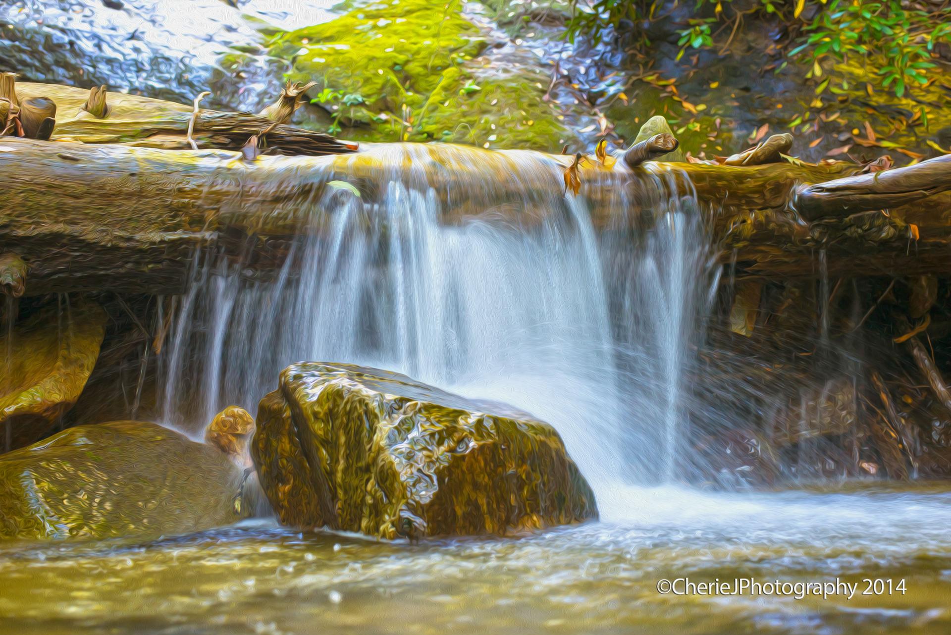 Small waterfall cascades over a mossy log into a rocky stream.