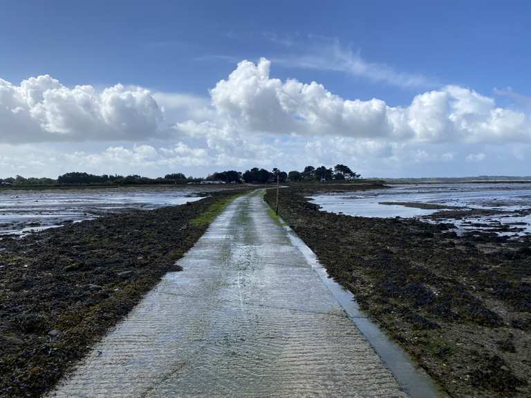 Île de Tascon – Parc naturel régional du Golfe du Morbihan | hike | Komoot