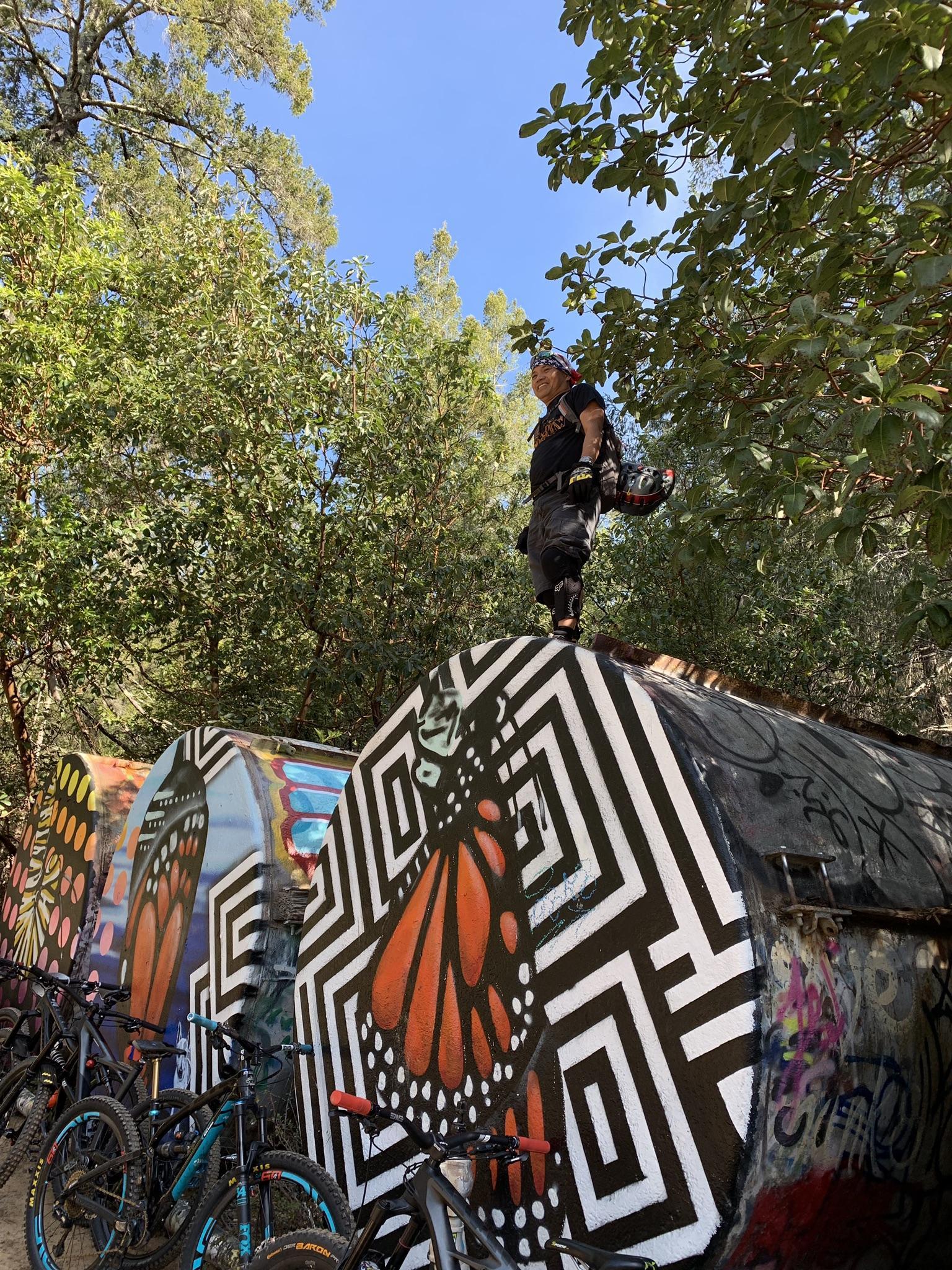 A person stands atop colorful, butterfly-painted structures with mountain bikes below.
