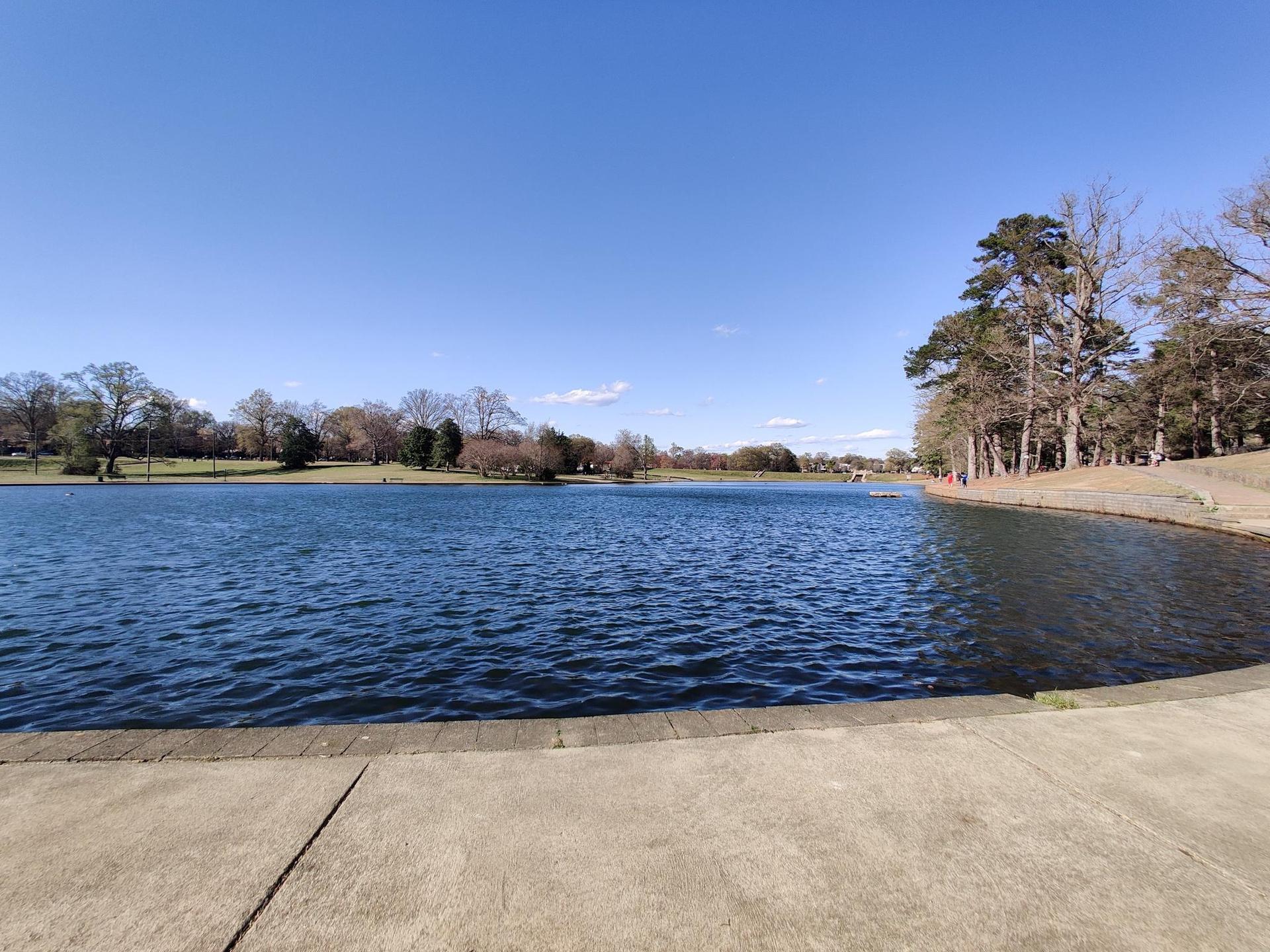 Sunny day over a wide lake with trees on the distant shore.