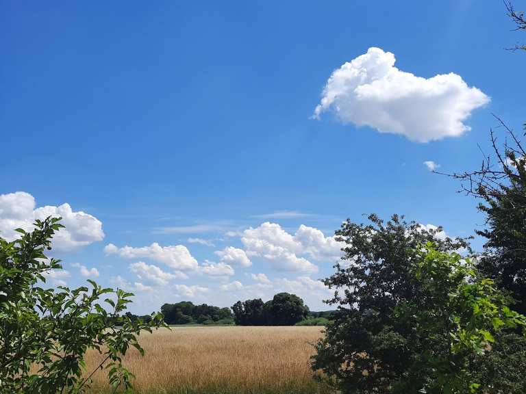 Eschefelder Teiche (Großer Teich) Wanderungen und Rundwege komoot