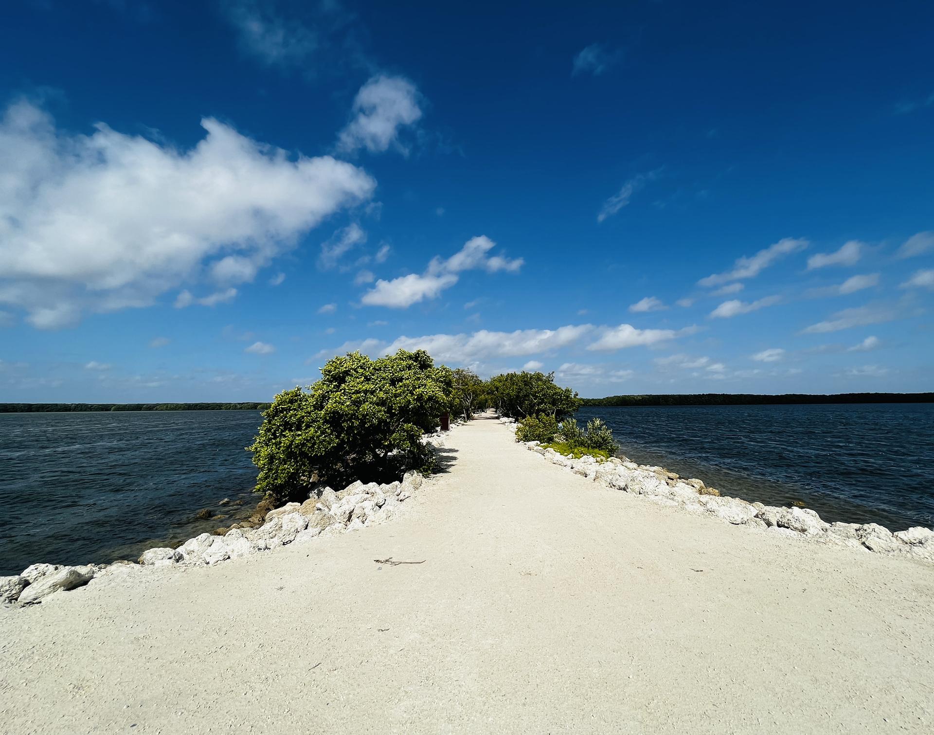 Sandy path leading to green trees, surrounded by water under a blue sky.