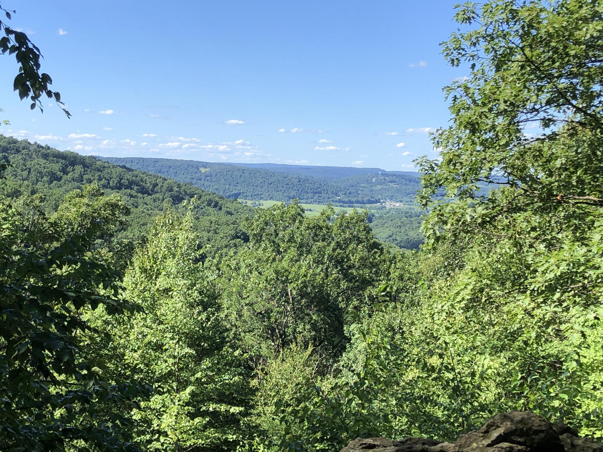 Sunny panoramic view of a lush green forested valley under blue sky.