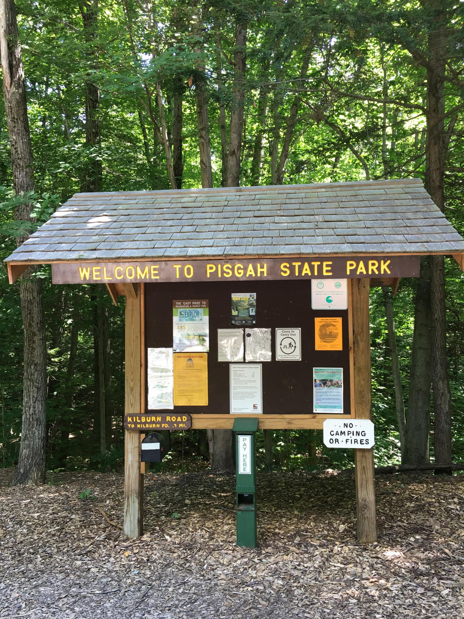 A wooden information kiosk stands in a sunny forest clearing.