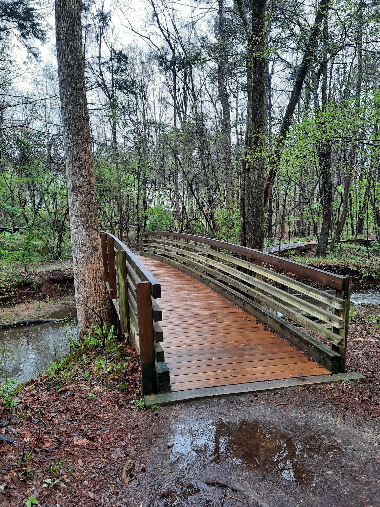A new wooden bridge crosses a small stream in a lush forest.