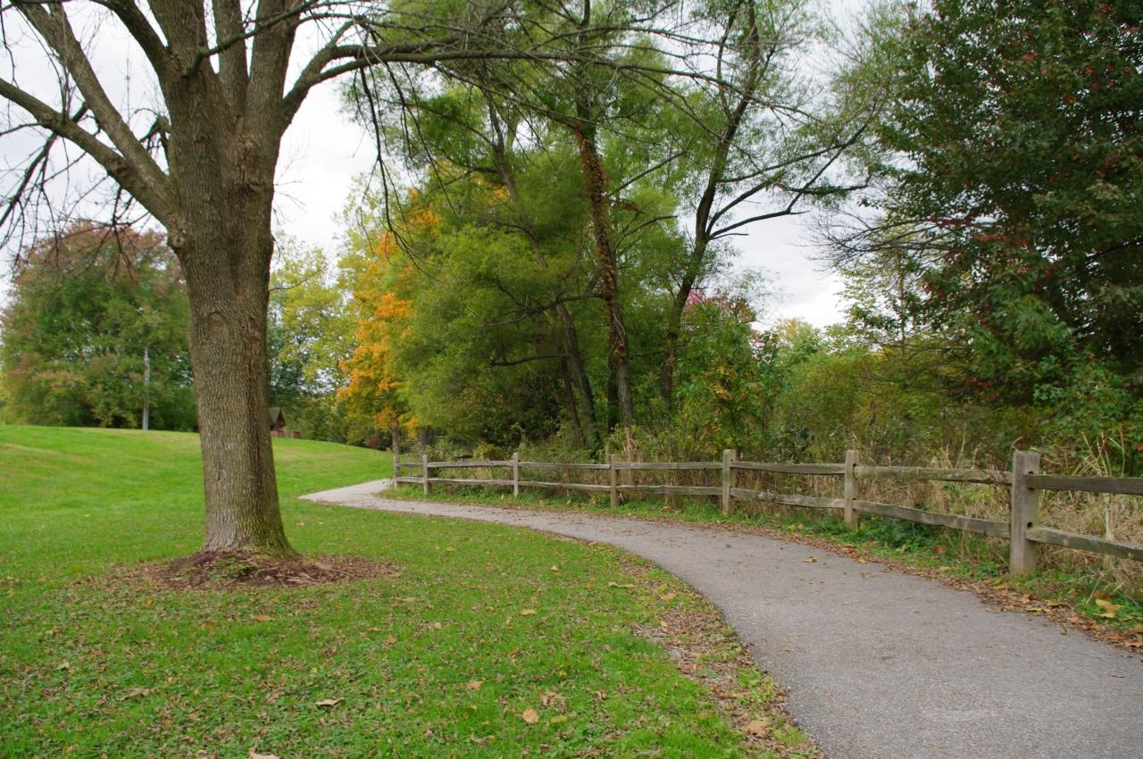 A paved path curves through a green park with trees and a wooden fence.