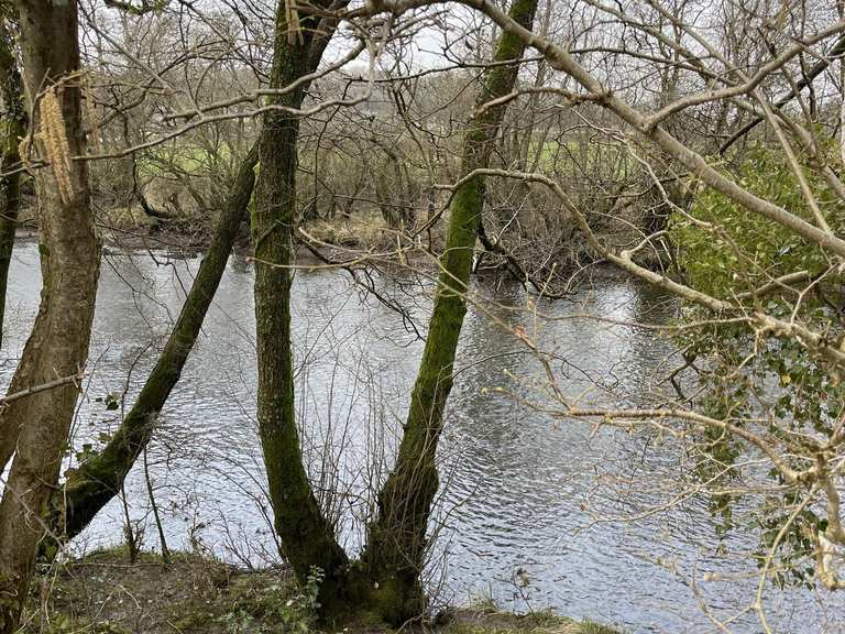 Walk along the River Leven: Wanderungen und Rundwege | komoot