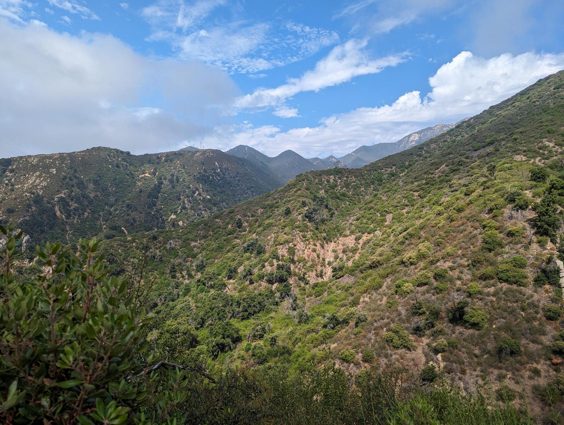 Expansive view of green, brush-covered mountains under a bright, cloudy sky.