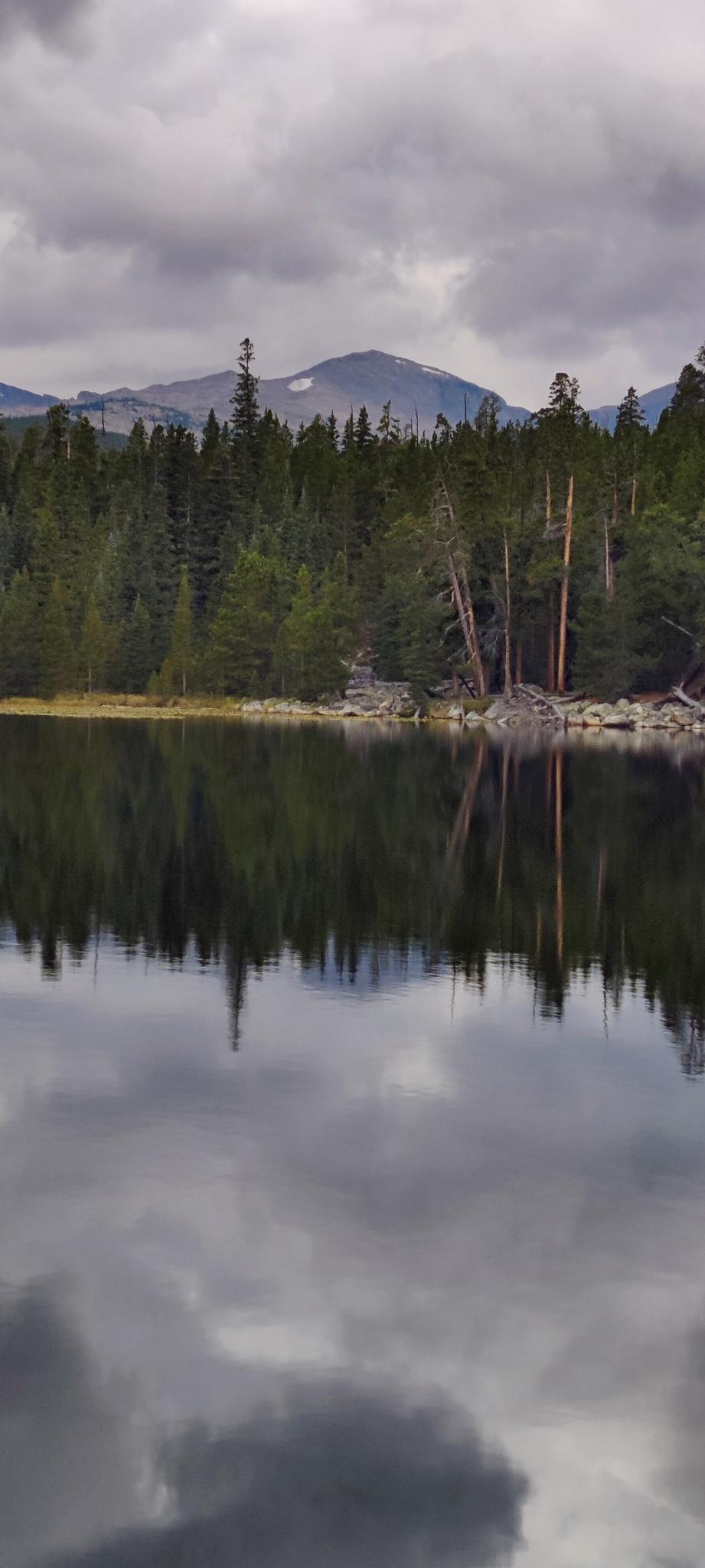 Calm lake reflecting a dense evergreen forest and distant mountains under cloudy skies.