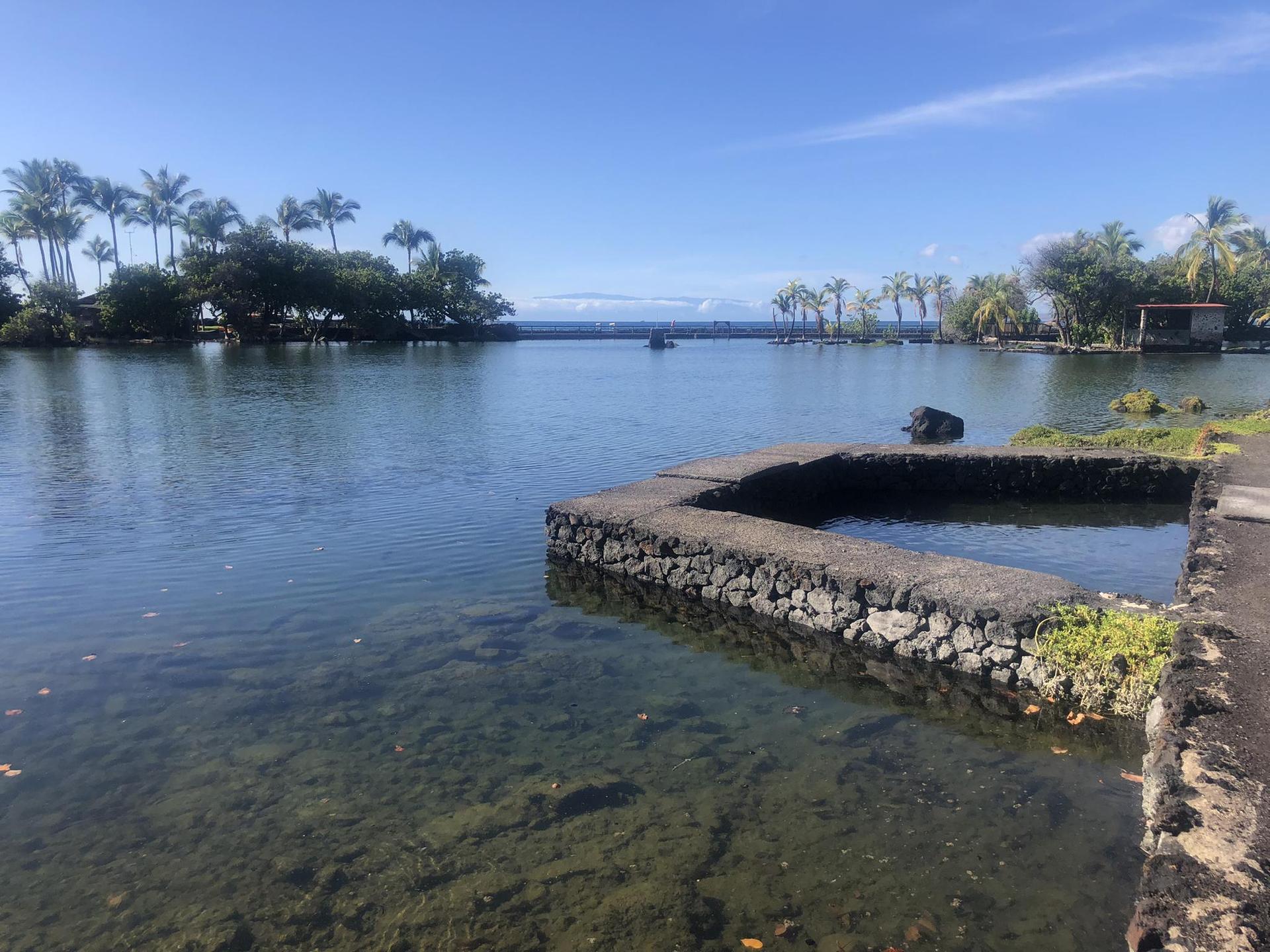 Clear, calm water with a stone wall in the foreground and palm trees.