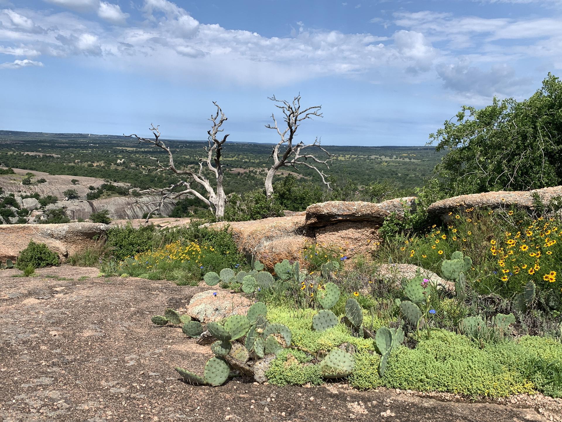 Las mejores 17 cimas en Texas | Komoot, image size:1920x1440