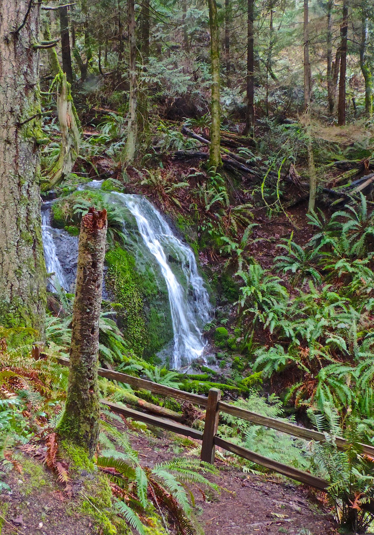 A waterfall flows over mossy rocks next to a wooden fence in a green forest.