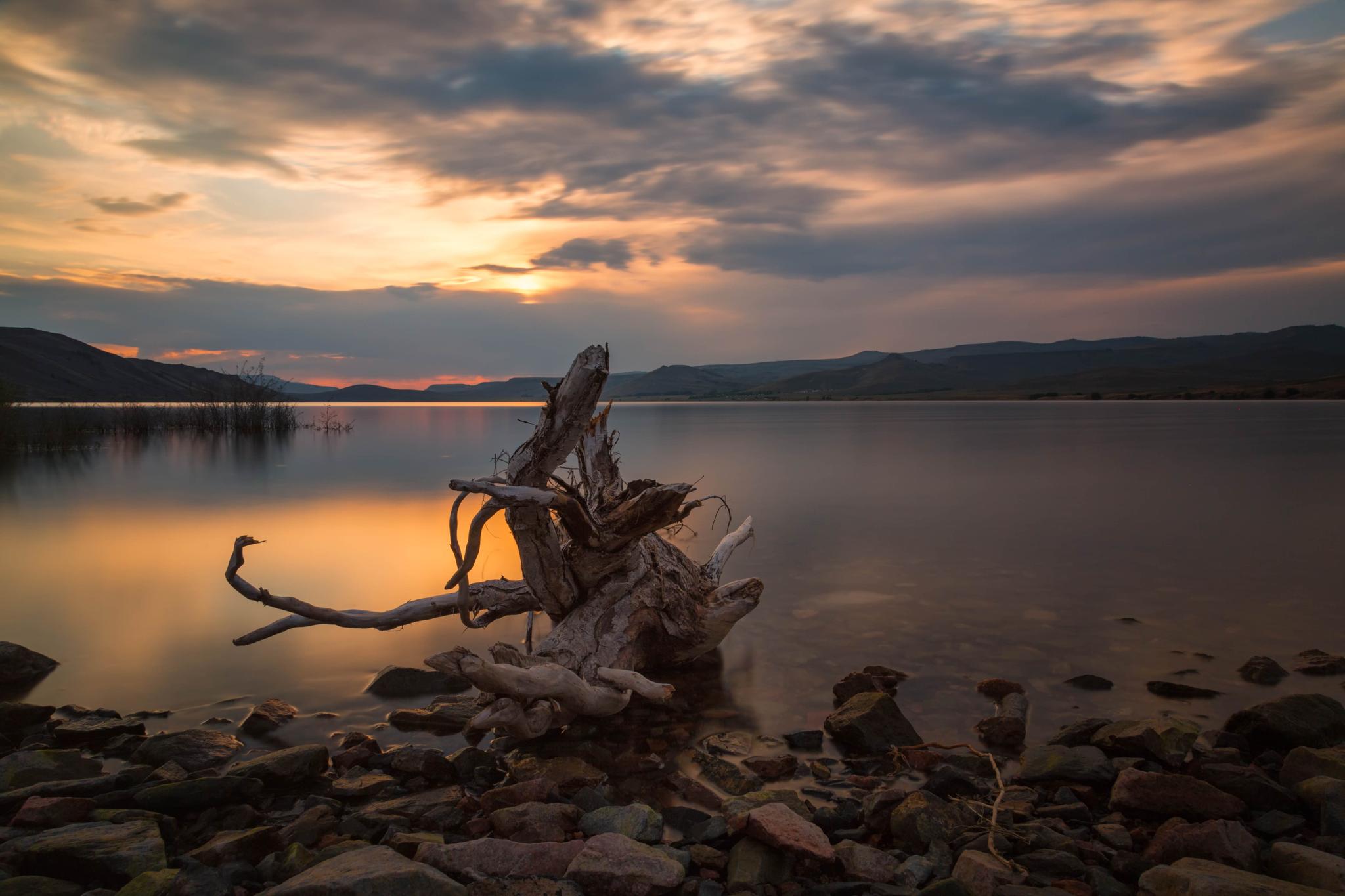 Driftwood on a rocky shore at sunset, with a calm lake and mountains.