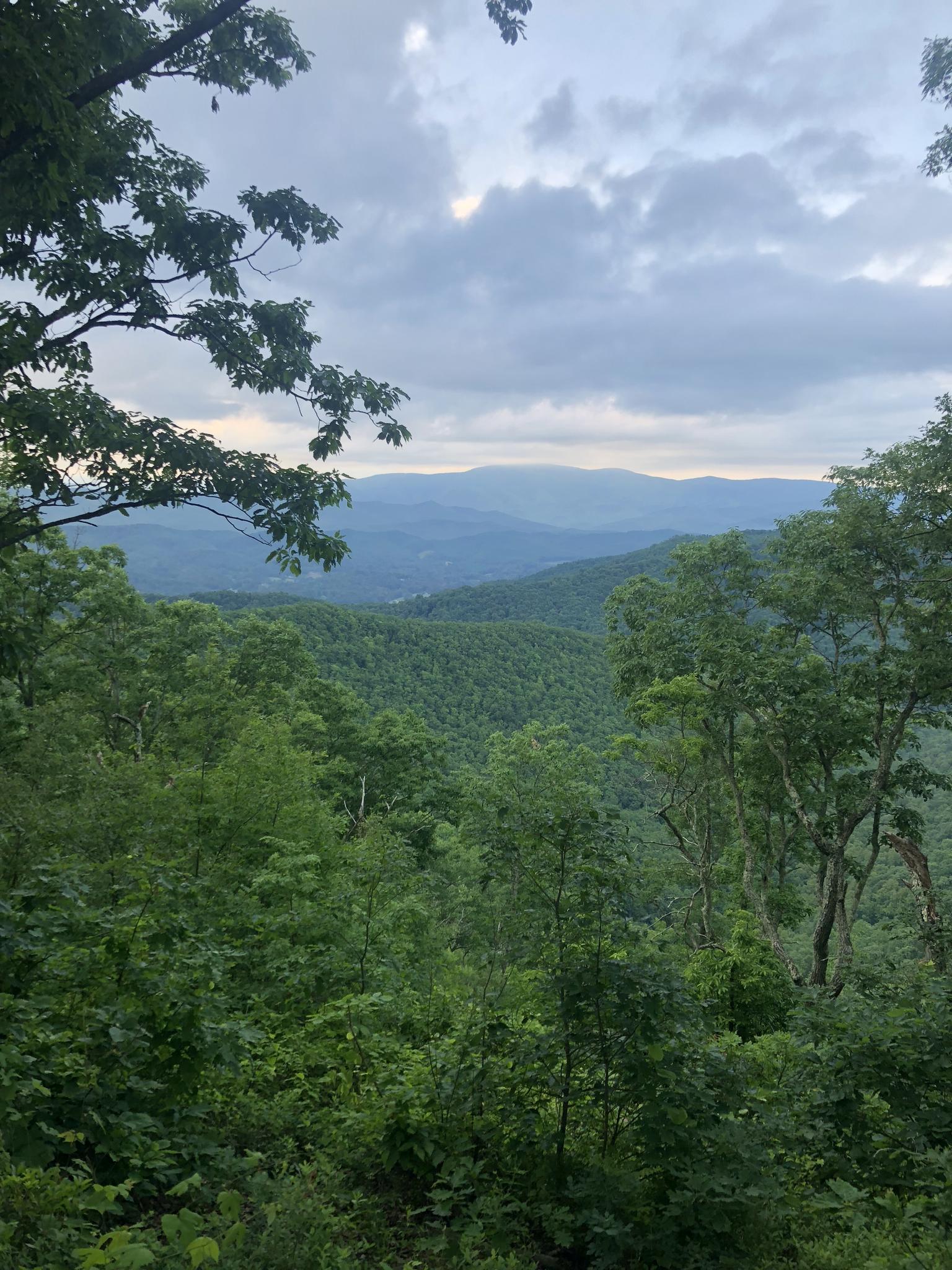 Overcast view of dense green forests and distant mountains under a cloudy sky.