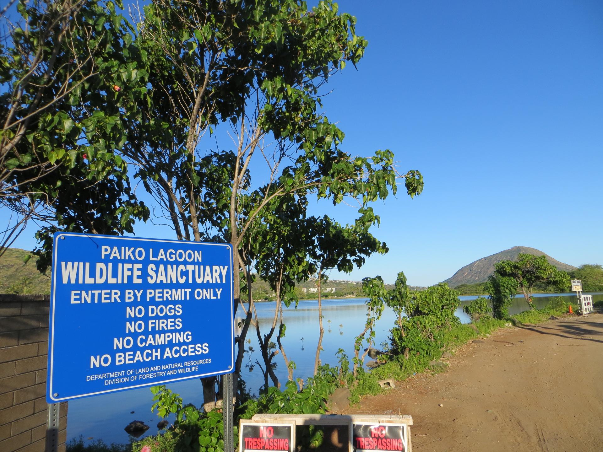 A blue sign stands beside a calm lake with green trees and a distant hill.