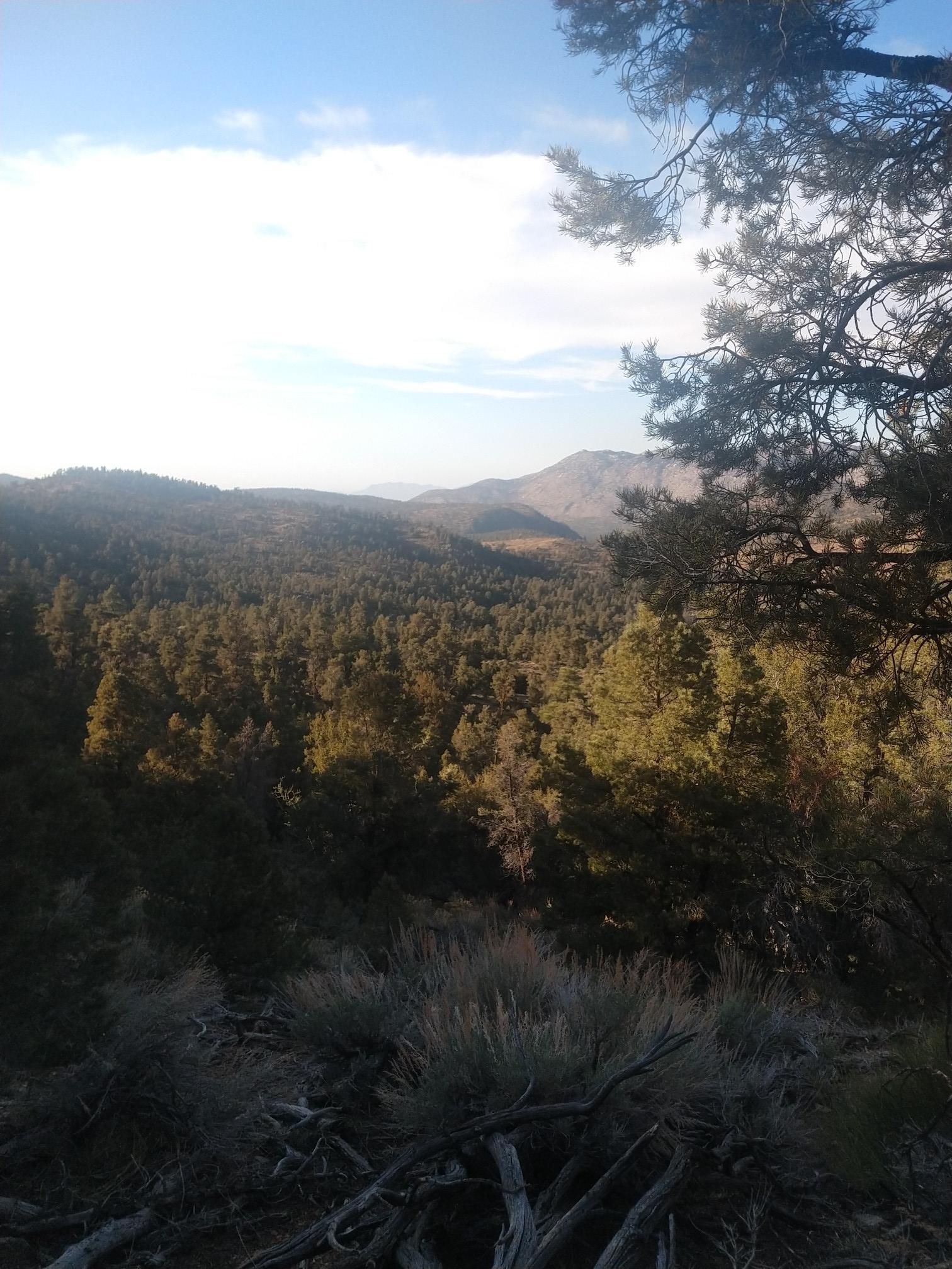 Vast forest valley and distant mountains under a bright sky.