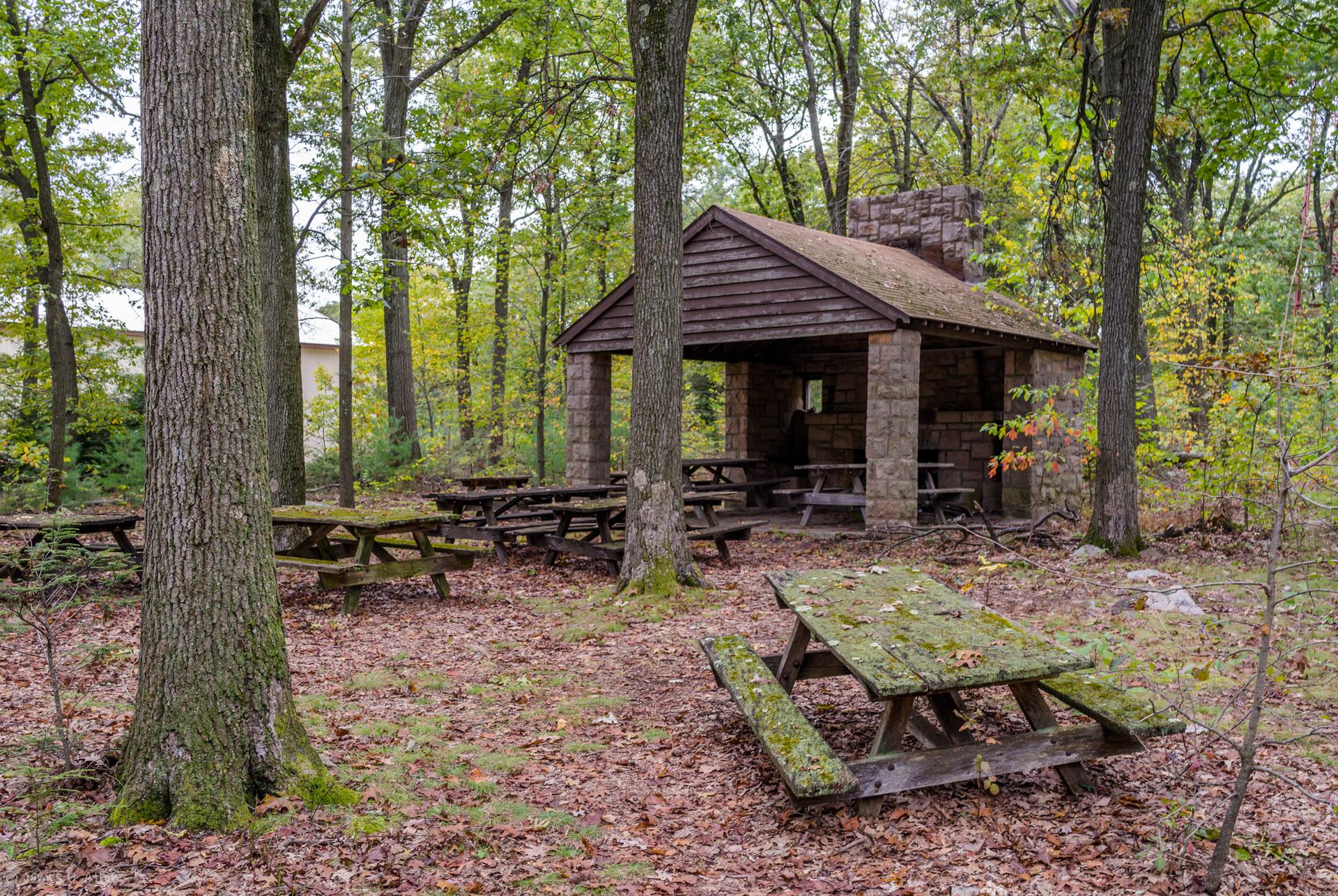 Forest picnic area with a stone shelter and moss-covered tables under soft light.