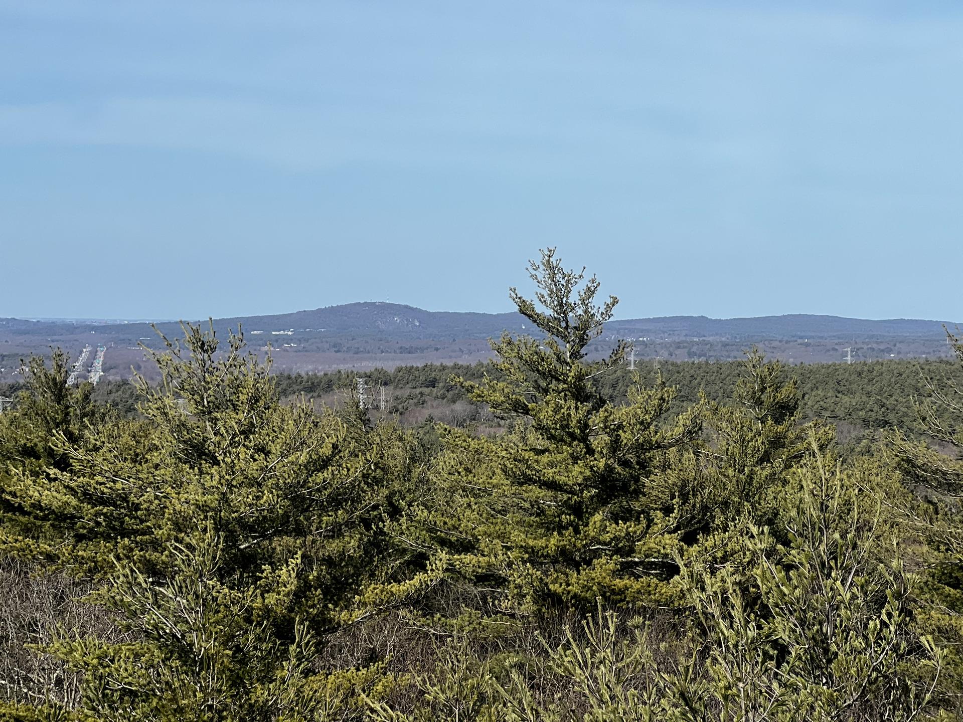 Evergreen trees in the foreground with distant hills under a clear blue sky.