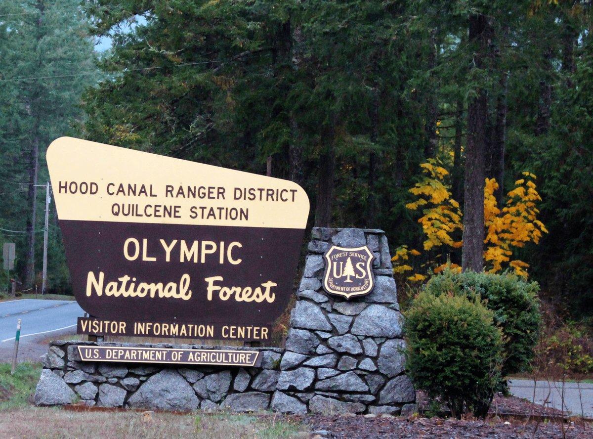 Large stone and wooden sign at a forest entrance.