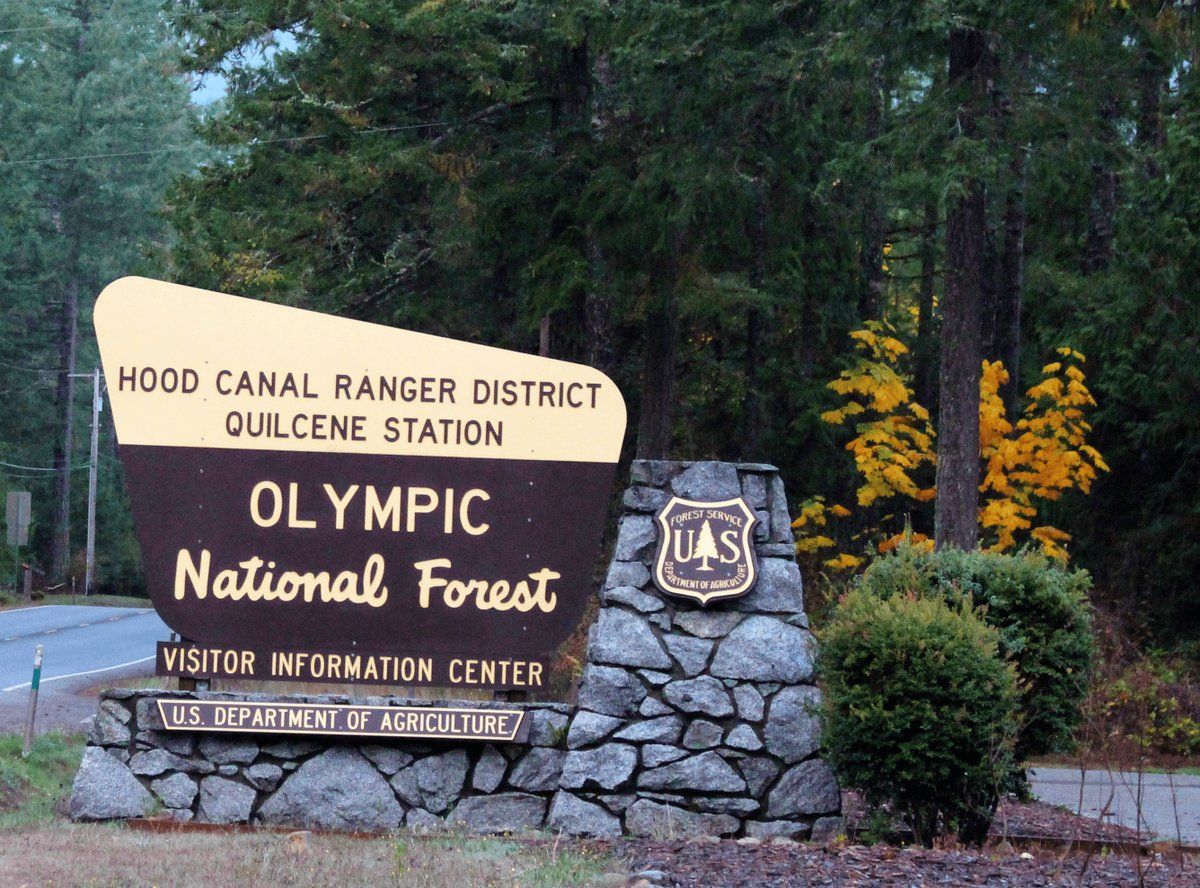 Large stone and wooden sign at a forest entrance. - Gravel loop from Quilcene National Fish Hatchery