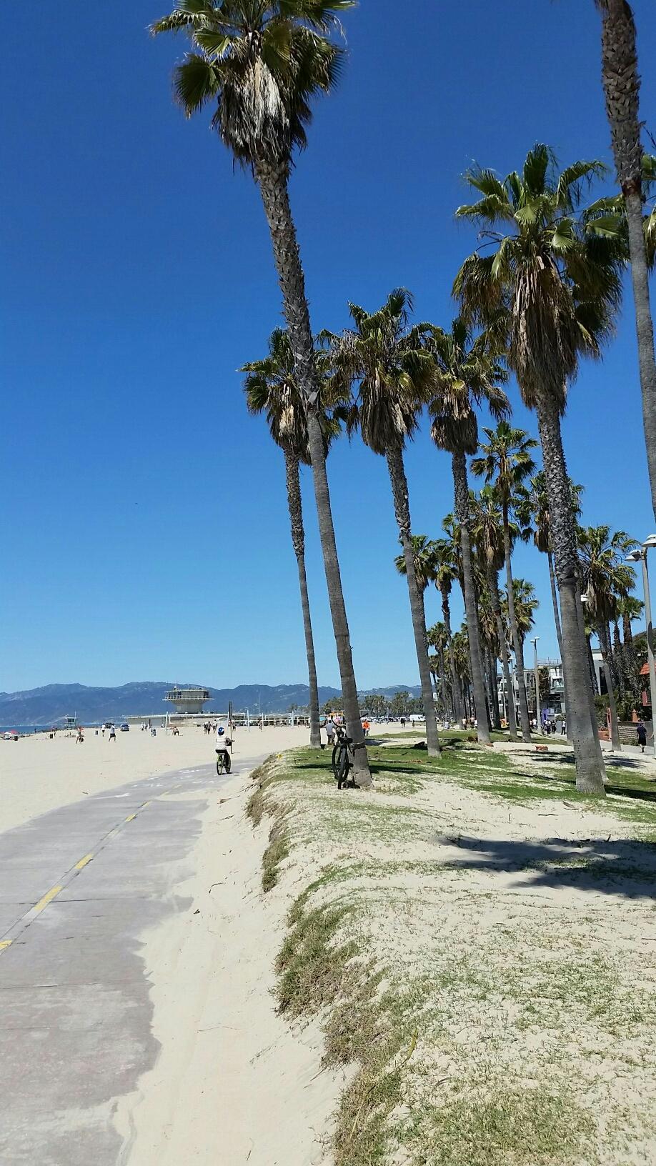 Sandy beach with tall palm trees, a paved path, and distant people.