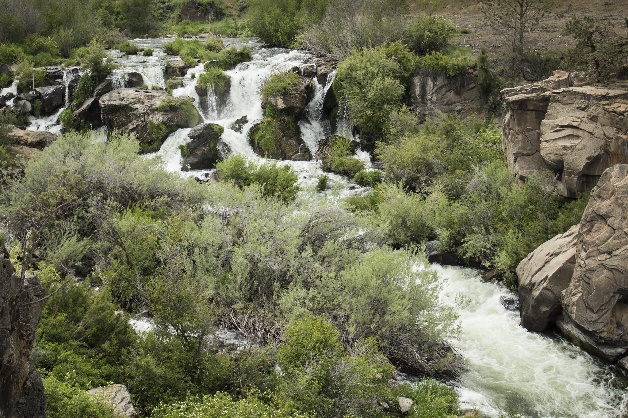 Whitewater rapids and waterfalls flow through a rocky, green landscape under natural light.