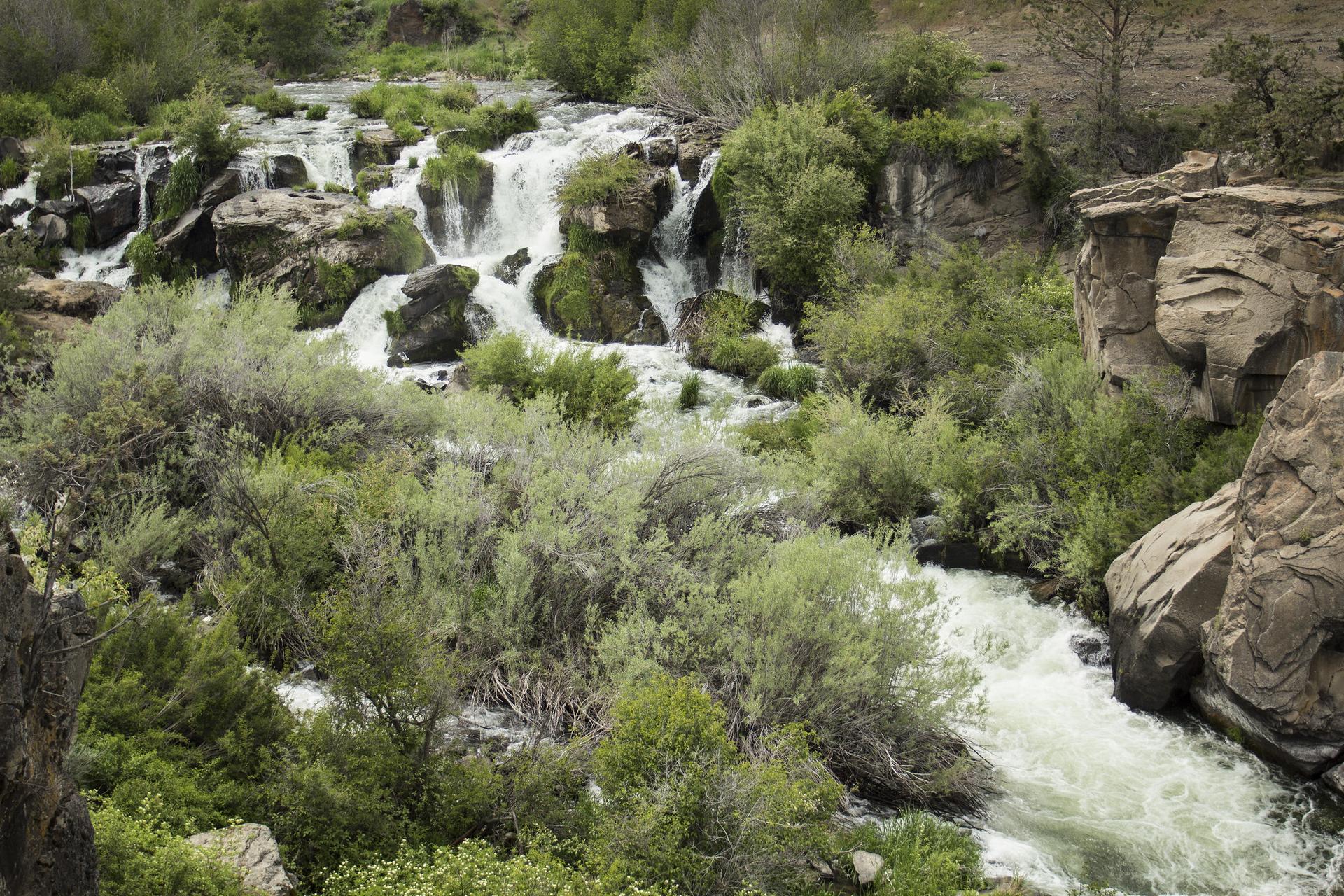 Whitewater rapids and waterfalls flow through a rocky, green landscape under natural light.
